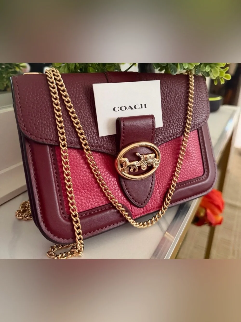 Beautiful & Unique Coach Chain Bag ✨